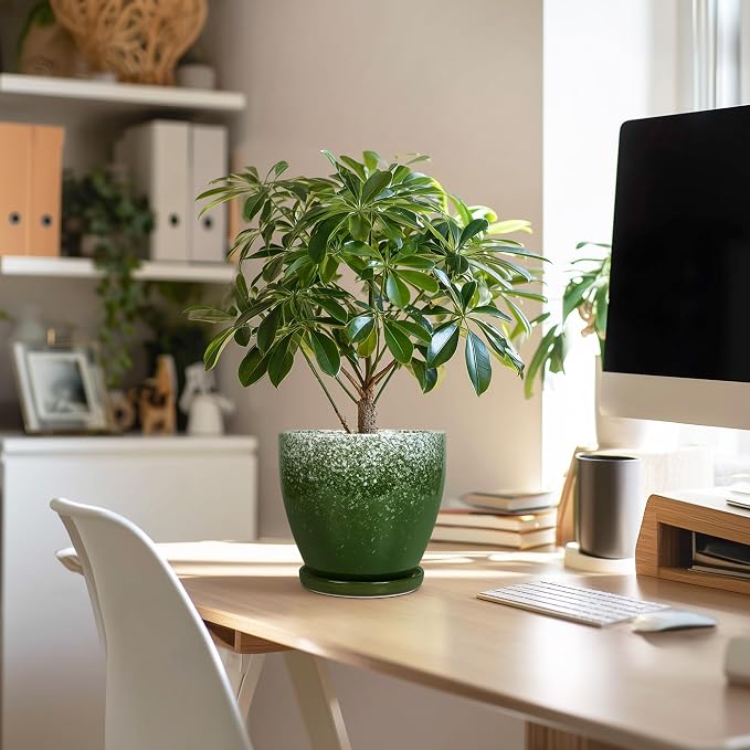 6 Inch Plant Pot - Image 5