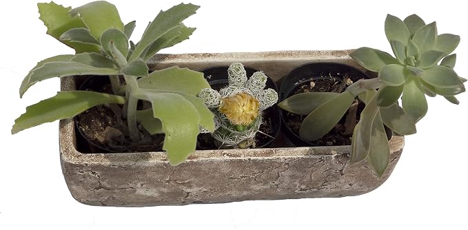 Classic Home and Garden Dakota Rectangular Planter Box w/Drain Plug - Image 8