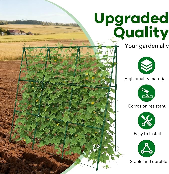 Cucumber Trellis - Image 3