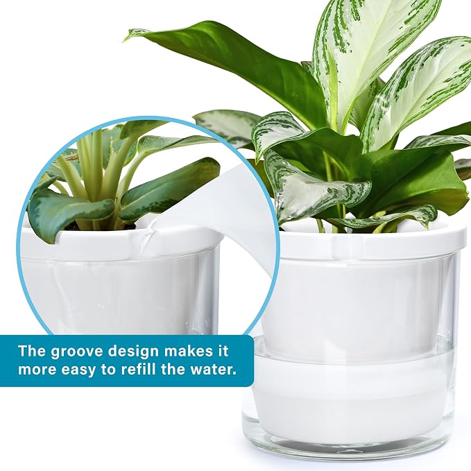 D'vine Dev 10 Inch Design Self Watering Planter - Image 6