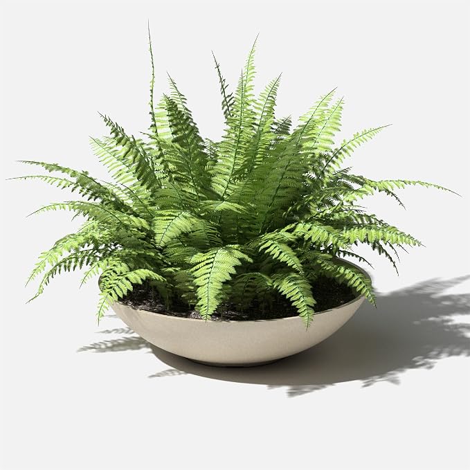 Veradek Mason Series Lane Bowl Planter| - Image 8