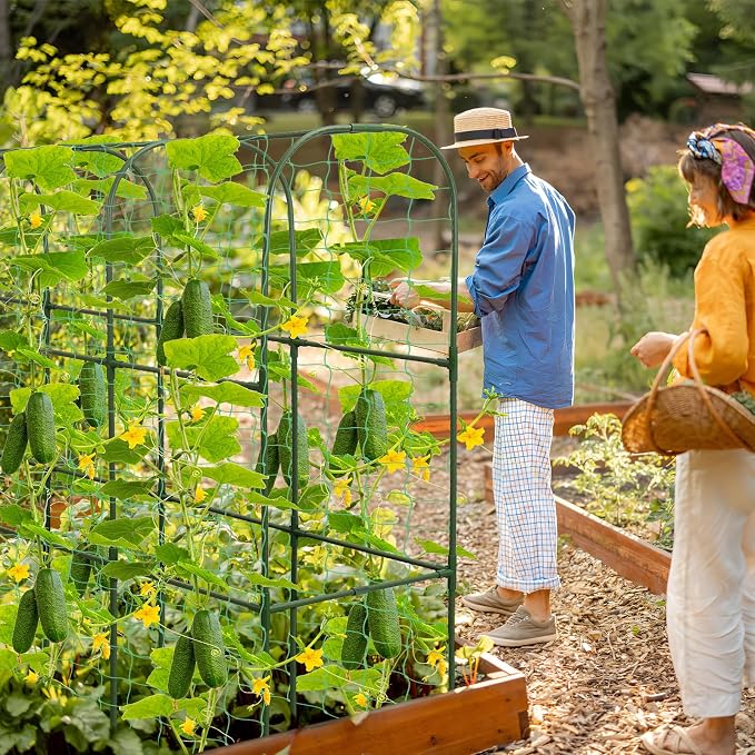 67 x 50 Cucumber Trellis for Raised Bed, U-Shape Metal Large Garden Trellis for - Image 8