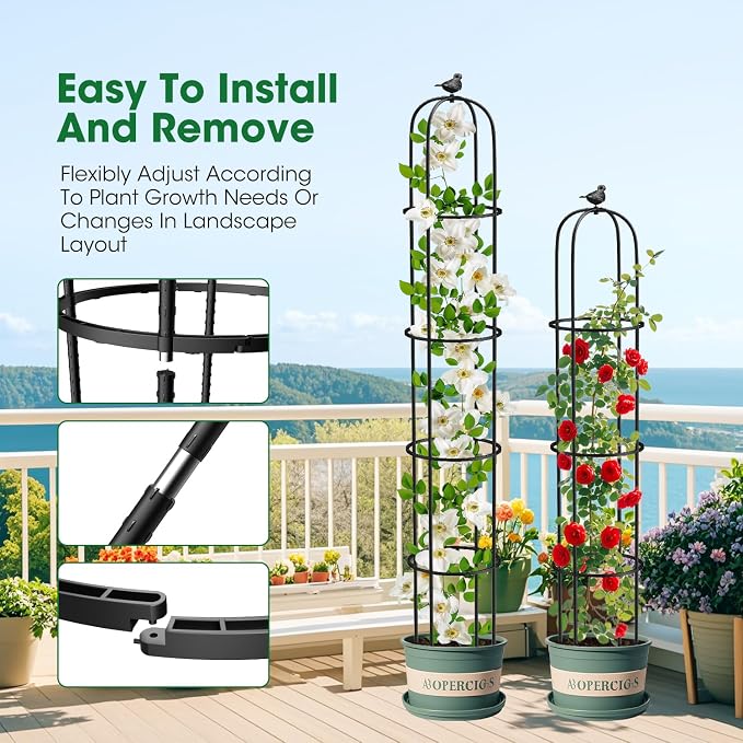 6.2ft Garden Obelisk Trellis for Climbing Plants Rustproof Metal Pipe - Image 4