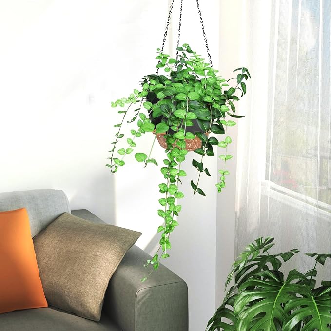 3 Pack Hanging Planter Indoor Outdoor Flower Pots 7/6.5/5 Inch, Self-Watering - Image 7