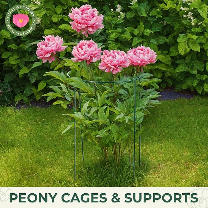 LEOBRO Plant Support, Plant Stakes, Plant Supports - Image 5