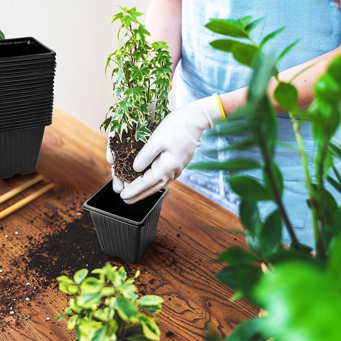 Anyumocz 100Pcs Square Plant Nursery Pots, 3.5 Inch Plastic Pots - Image 7