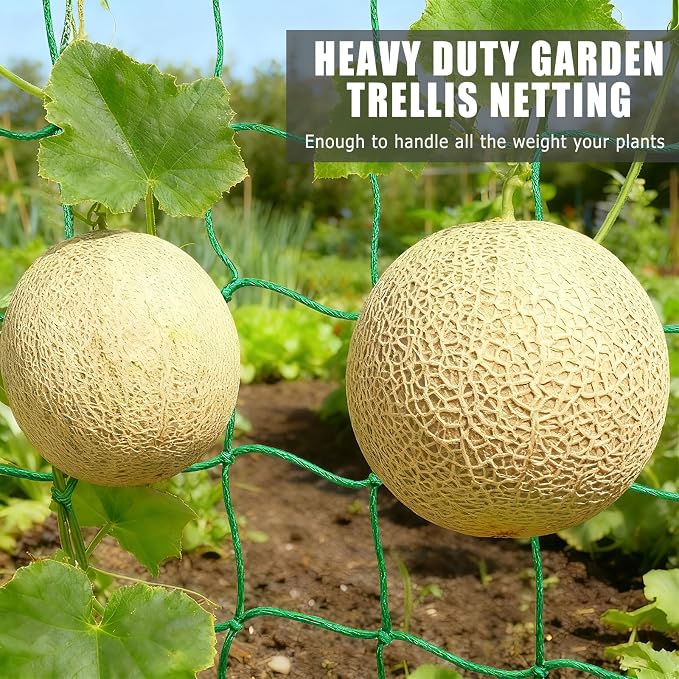 6.6x16.4FT Trellis Netting for Climbing Plants, Trellis Netting - Image 6