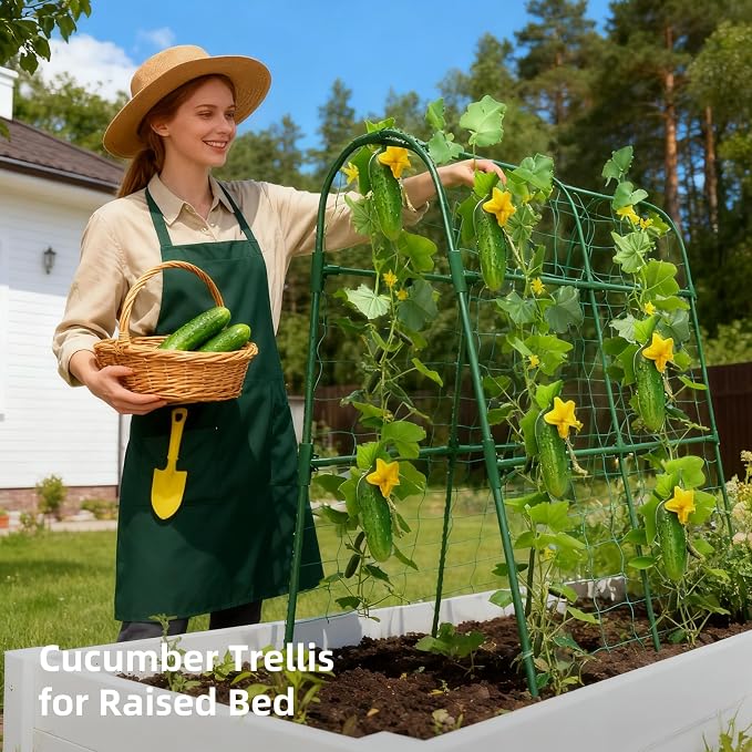 Cucumber Trellis for Raised Bed, U-Shape Garden Arch Metal Support for Climbing - Image 5