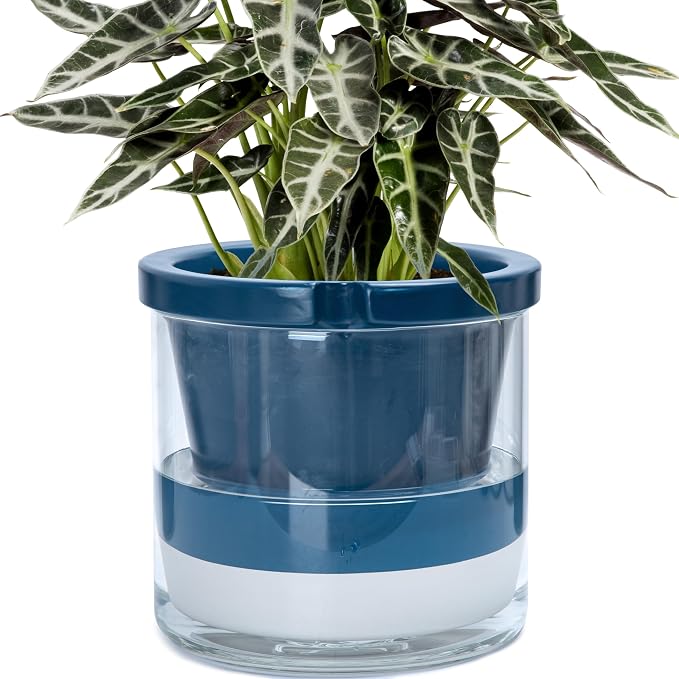 D'vine Dev 10 Inch Design Self Watering Planter by DvineDevPlanterPotsandStand