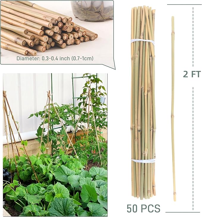 50Pcs / 2ft Bamboo Plant Stakes - Image 5