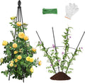 2 Pack Garden Trellis for Climbing Plants, Garden Trellis Rustproof Plastic by AlisisFores