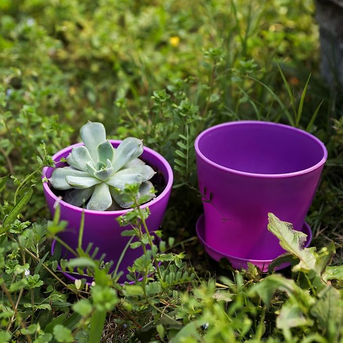 TDHDIKE 10 Pcs Plastic Planters Indoor Flower Plant Pots, Mini Flower Seedlings - Image 4