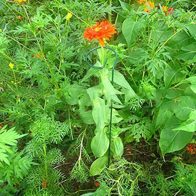 Plant Stake Support - Image 3