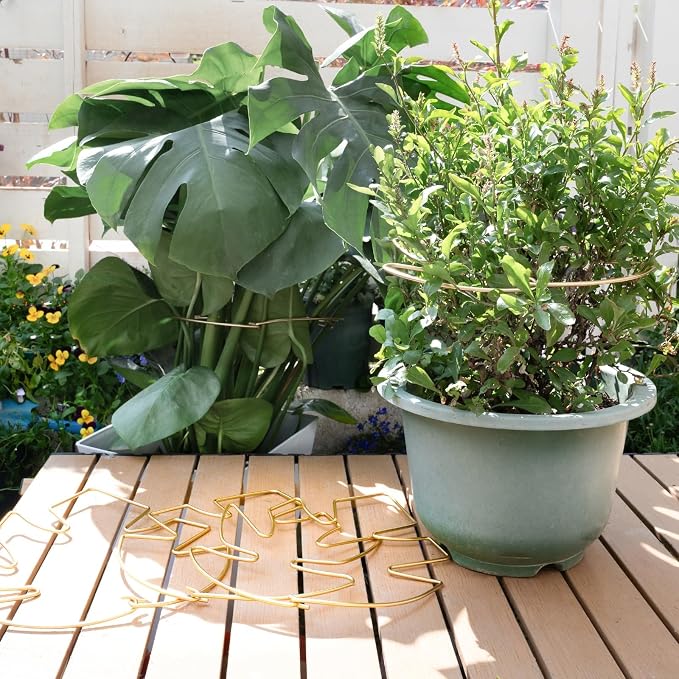5PCS Monstera Plant Stem Support - Image 8