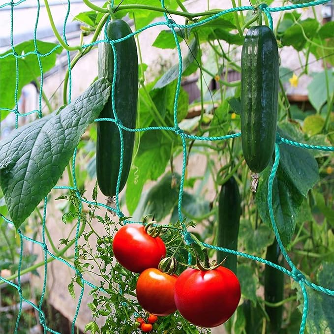 Pack of 2 Cucumber Tomato Trellis Netting, Heavy Duty Garden Netting Support - Image 3