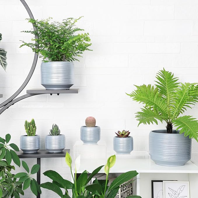 8 Inch + 6 Inch Ceramic Plant Pots Indoor - Image 6