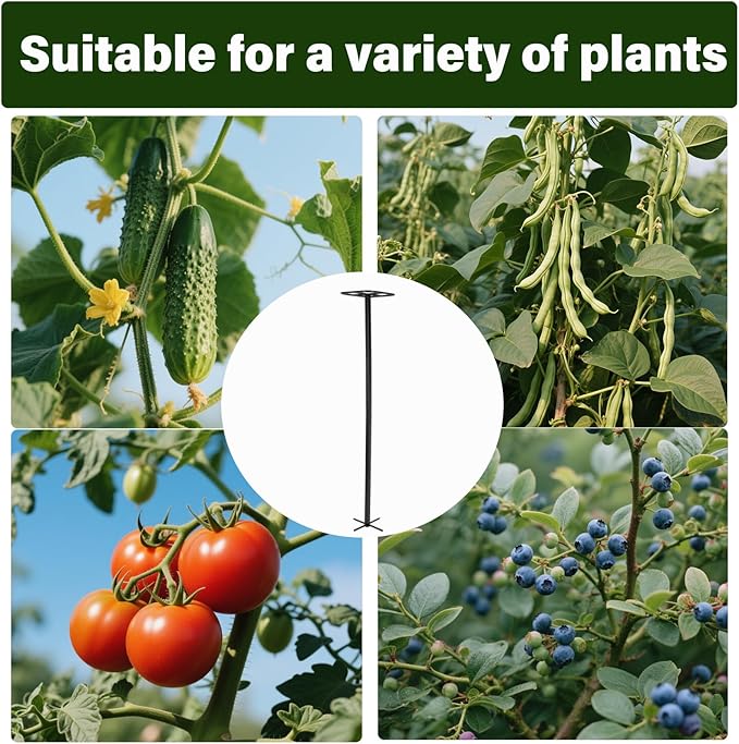 63" Metal Dragon Fruit Trellis – Durable Outdoor Garden Support - Image 3
