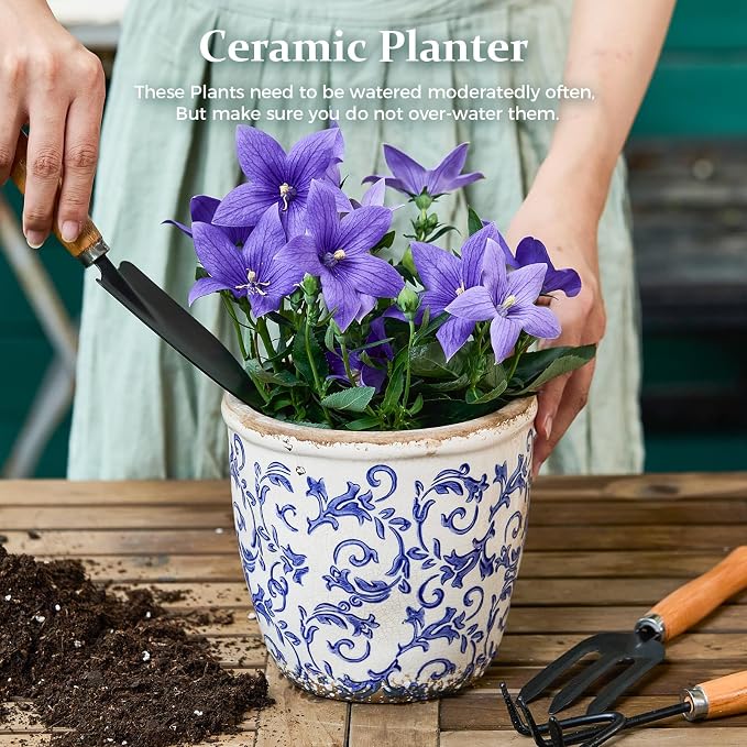 Vintage Ceramic Planter Without Drainage Hole, 6.5 Inch - Image 2
