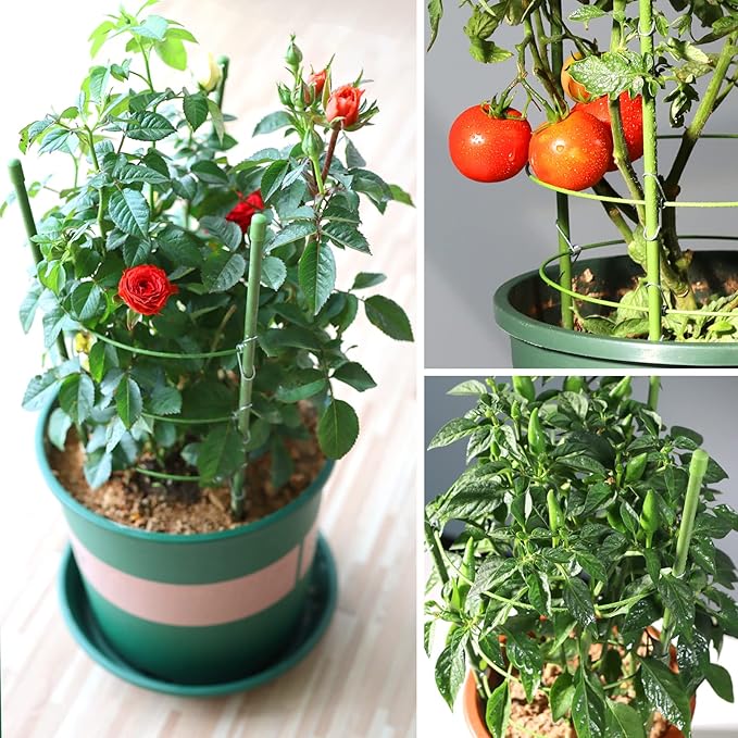 LEOBRO 4 PCS Plant Support Cages, Tomato Cages, Metal Garden Plant Support Ring - Image 6