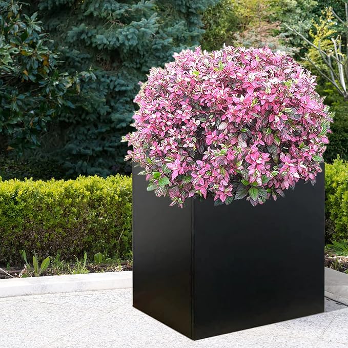Galvanized Steel Planter Box Black Metal Planter 24Inch Large Square Indoor - Image 8