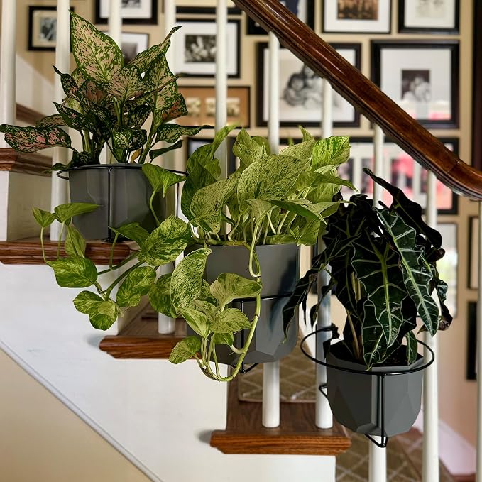 Railscapes Floating Railing Plant Clip - Image 5