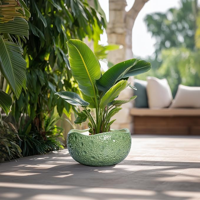 Ceramic Pots for Plants - Image 4