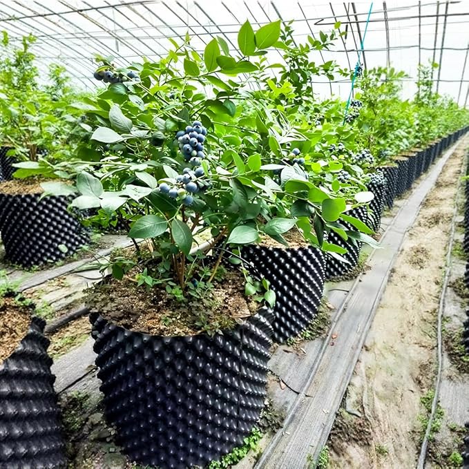 14 Gallon Air Pruning Planters, Plastic Pots - Image 3