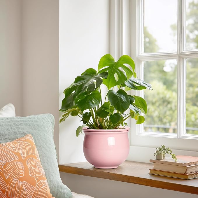 African Violet Pots, 6 Inch Ceramic Easy Self Watering Pots - Image 4