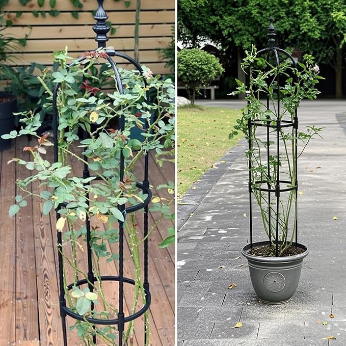 Trellis for Climbing Plants Outdoor 1Pcs Garden Obelisk 6Ft, Metal Pipe Tomato - Image 4