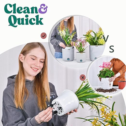 GreenShip 4-Pack Patented Self-Watering Spikes – DIY Plant Watering System - Image 6