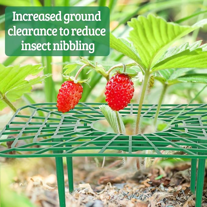 6 Sets Strawberry Plant Supports - Image 6