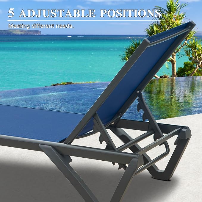 Domi Pool Lounge Chairs Set of 2 - Image 5