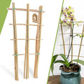 5 Pack 16" Bamboo Trellis for Climbing Plants-Natural Garden Ladder Fan -Shaped by Biotolot