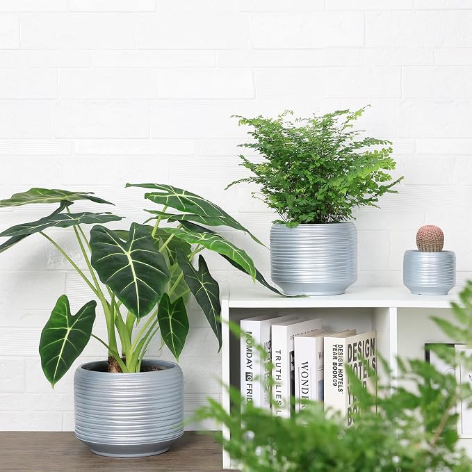 8 Inch + 6 Inch Ceramic Plant Pots Indoor - Image 4