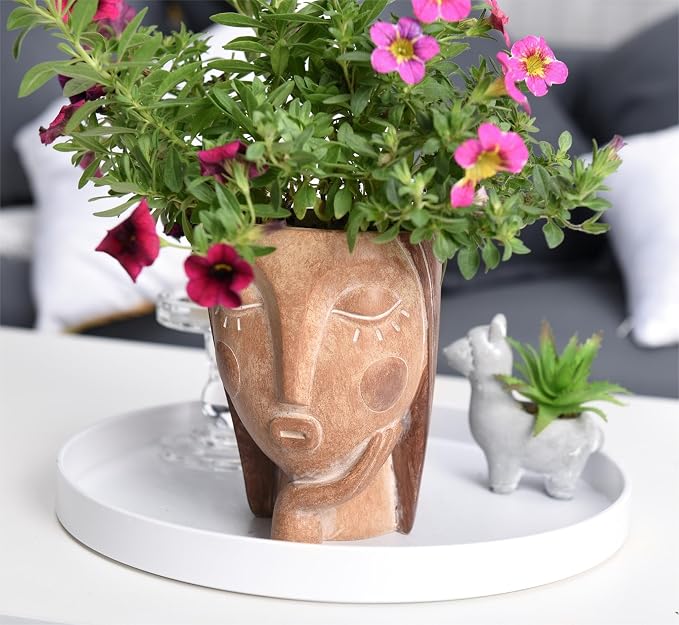 Head Planters for Indoor Plants, Face Flower Pot Head Planter Succulent - Image 8