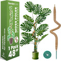 48 Inch Bendable Moss Pole Monstera Plant Support by Sproot