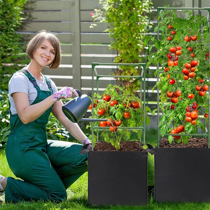 ANPHSIN 3 Sets Tomato Cages - Image 6