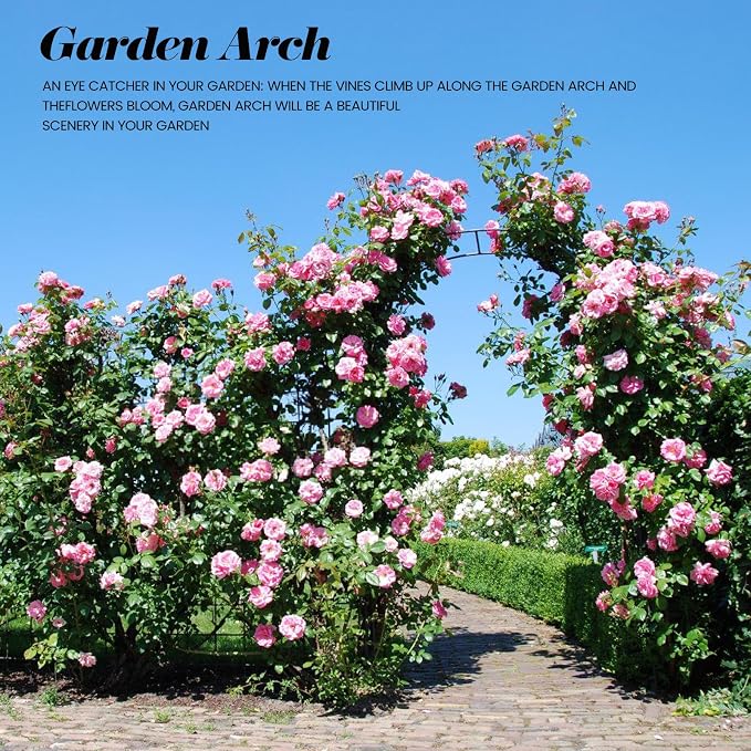Metal Pergola Arbor Garden Arch - Image 5