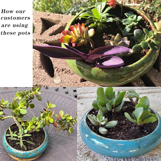 ARTKETTY Succulent Pots - Image 6