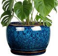 SQOWL 10 Inch Plant Pot by SQOWL