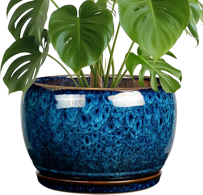 SQOWL 10 Inch Plant Pot by SQOWL
