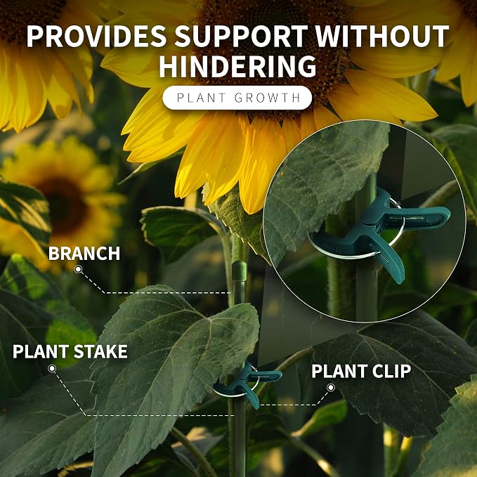 Plant Clips 40 Piece Green Gentle Gardening Plant & Flower Lever Loop Gripper - Image 5