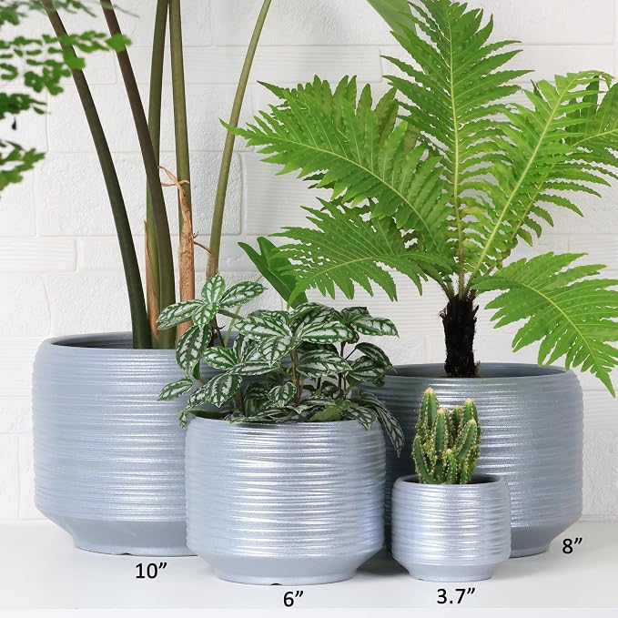 8 Inch + 6 Inch Ceramic Plant Pots Indoor - Image 7