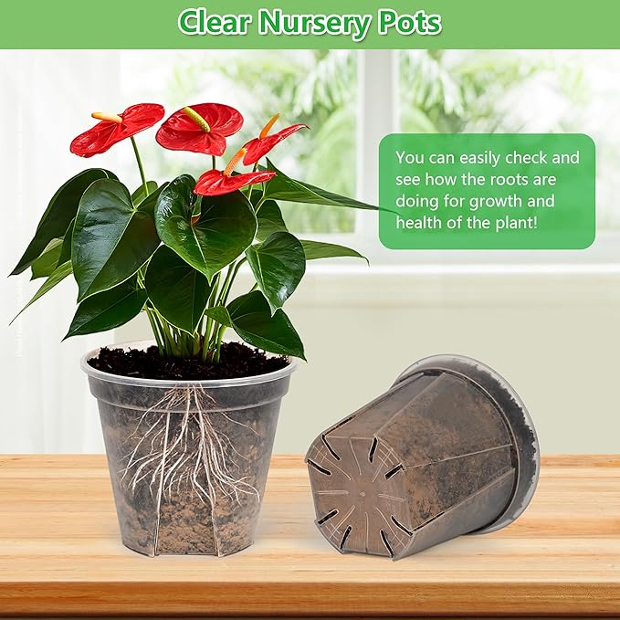 5 Set 7 Inch Transparent Plastic Garden Pots - Image 4