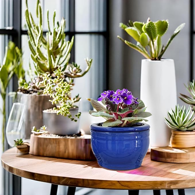 African Violet Pots Self Watering Round Ceramic Violet Pot - Image 8