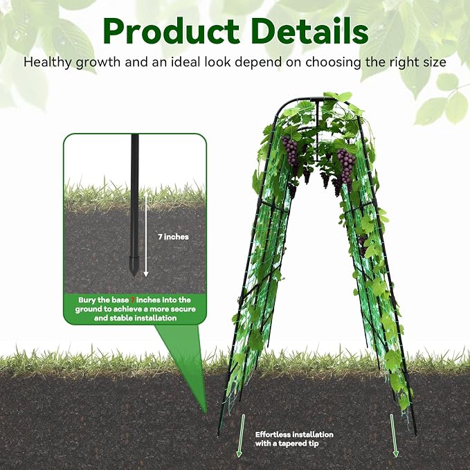 Cucumber Trellis - Image 2