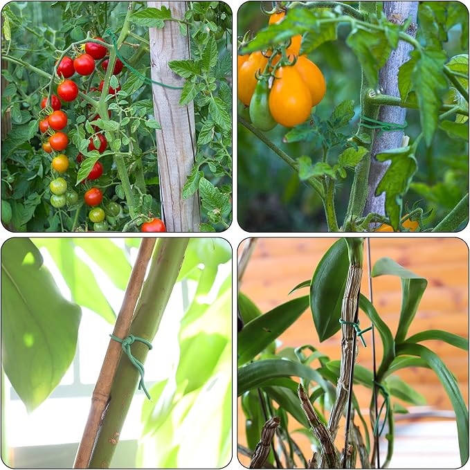 YDSL 100 Feet Soft Tie for Plants, Vegetables - Image 2