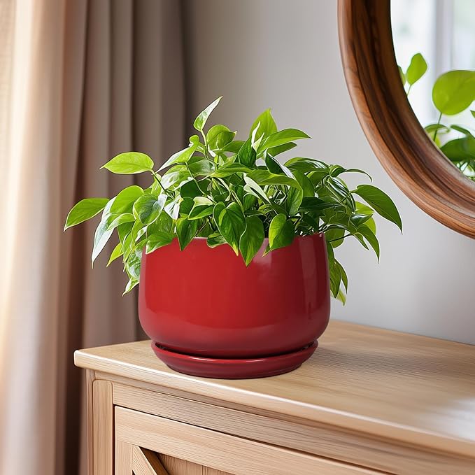 G EPGardening Ceramic Pot for Plants - Image 7