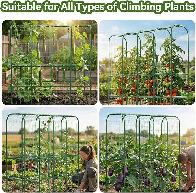 65" Tall Cucumber Trellis for Raised Bed, Garden Trellis for Climbing Plants - Image 4