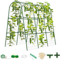 Cucumber Trellis for Raised Bed, U-Shape Garden Trellis for Climbing Plants by TOCCYARD
